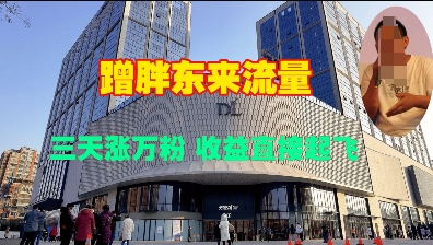 蹭胖东来流量，三天涨万粉，收益直接起飞-鼎铸网