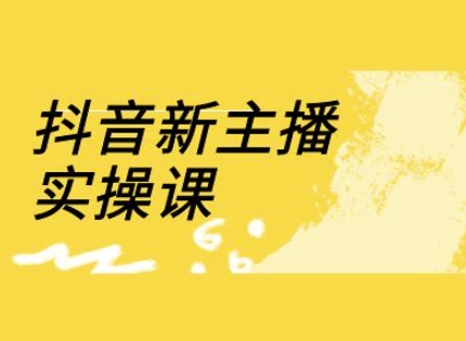 抖音新主播实操课，直播间流量运营线上实操课(18节)-鼎铸网