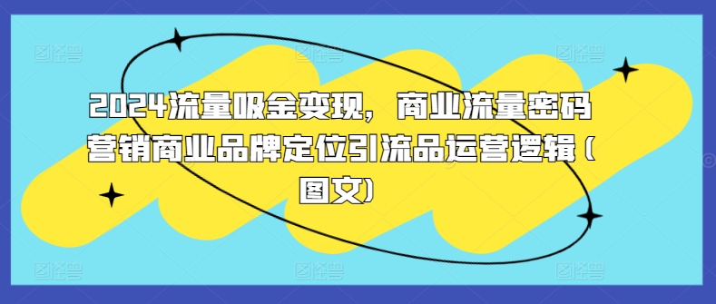2024流量吸金变现，商业流量密码营销商业品牌定位引流品运营逻辑(图文)-鼎铸网