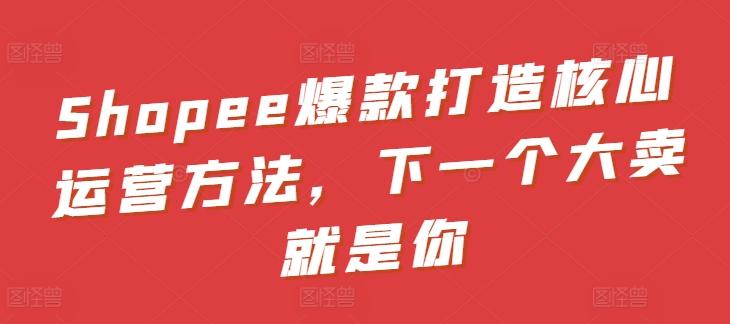 7b8a5021536e141eac57185fdbb77496.jpeg Shopee爆款打造核心运营方法,下一个大卖就是你
