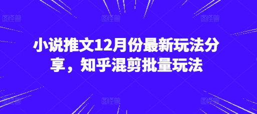 小说推文12月份最新玩法分享，知乎混剪批量玩法-鼎铸网