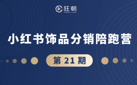 盗坤·抖音小红书视频号短视频带货与直播变现(11-21期)【更新】-鼎铸网