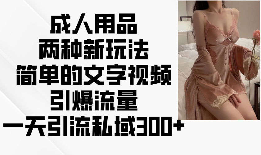 成人用品两种新玩法,简单的文字视频引爆流量,一天引流私域300+-鼎铸网