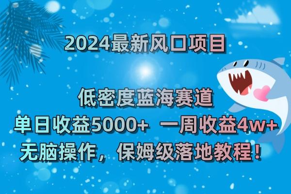 (8545期)2024最新风口项目 低密度蓝海赛道，日收益5000+周收益4w+ 无脑操作，保…-鼎铸网