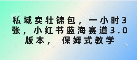 私域卖壮锦包,一小时3张,小红书蓝海赛道3.0版本, 保姆式教学-鼎铸网
