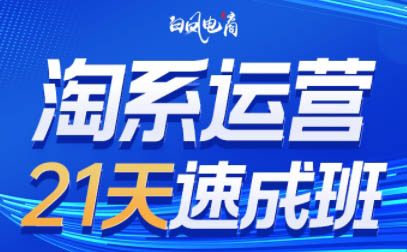 白凤电商·淘系运营21天速成班(更新2026)-鼎铸网