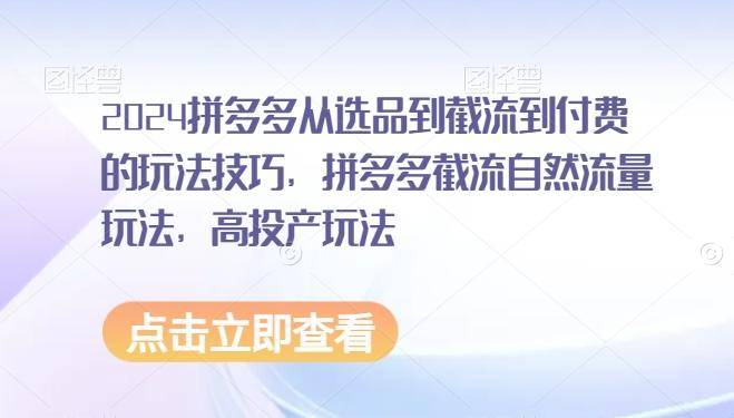 8243423e59e9f42611590a2cc7e22d1e.jpeg 2024拼多多从选品到截流到付费的玩法技巧,拼多多截流自然流量玩法,高投产玩法