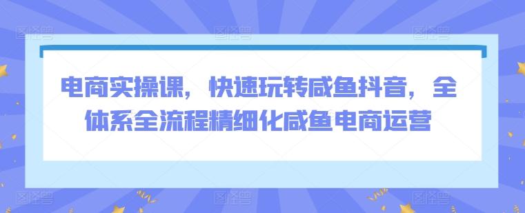 电商实操课，快速玩转咸鱼抖音，全体系全流程精细化咸鱼电商运营-鼎铸网