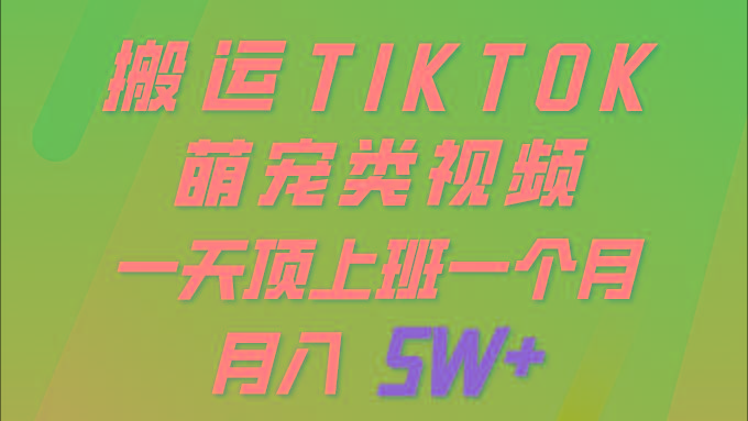 83b15ce05676460a2bb6f95d61d9fd02.jpeg (9931期)一键搬运TIKTOK萌宠类视频 一部手机即可操作 所有平台均可发布 轻松月入5W+