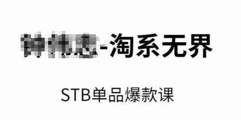 淘系无界STB单品爆款课(2024)，付费带动免费的核心逻辑，万相台无界关键词推广/精准人群的核心-鼎铸网