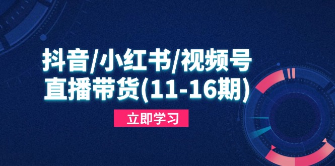 84bbe2b54a0b547e4d7b821870ec5d49.jpeg 抖音/小红书/视频号/直播带货(11-16期