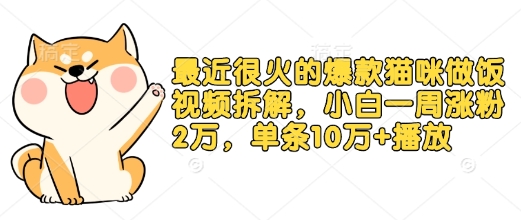 最近很火的爆款猫咪做饭视频拆解，小白一周涨粉2万，单条10万+播放(附保姆级教程)-鼎铸网