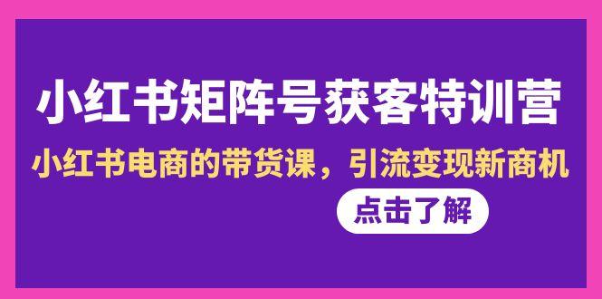 小红书-矩阵号获客特训营-第10期，小红书电商的带货课，引流变现新商机-鼎铸网