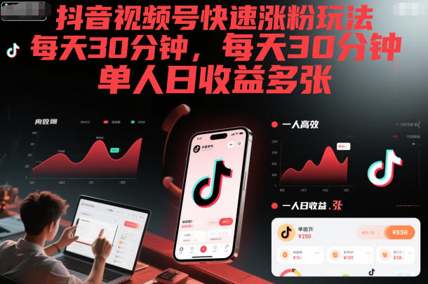 抖音视频号快速涨粉玩法，每天30分钟，单人日收益多张-鼎铸网