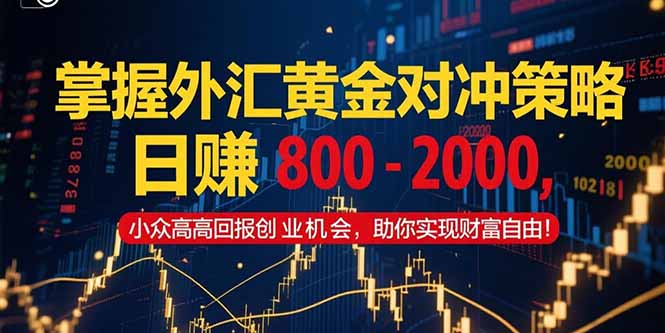 掌握外汇黄金对冲策略,日赚 800 - 2000,小众高回报创业机会,助你实...-鼎铸网