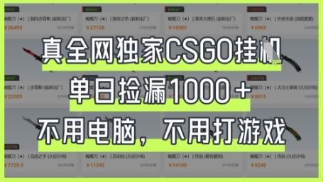 真全网独家CSGO挂G，单日捡漏1k+【揭秘】-鼎铸网