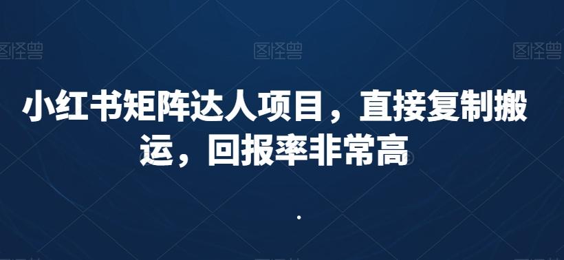 88c4f82b9da141a668bcc08fa056f746.jpeg 小红书矩阵达人项目,直接复制搬运,回报率非常高