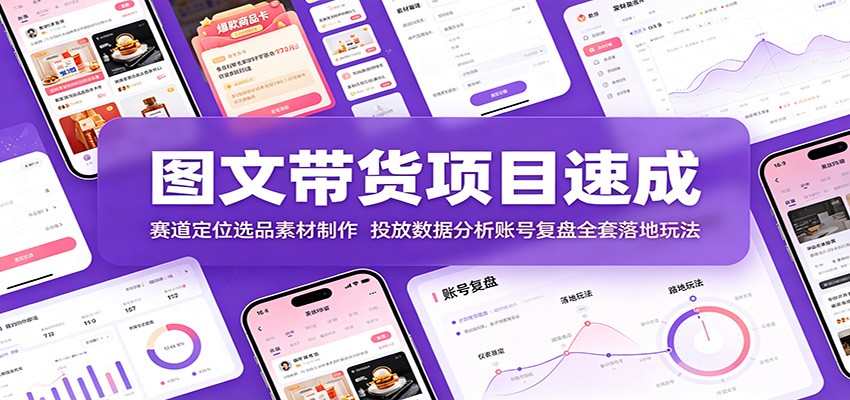 图文带货项目速成：赛道定位选品素材制作，投放数据分析账号复盘全套落地玩法-鼎铸网