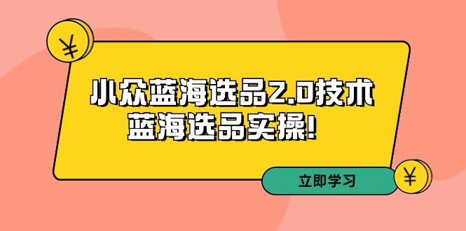 拼多多培训第33期：小众蓝海选品2.0技术-蓝海选品实操！-鼎铸网