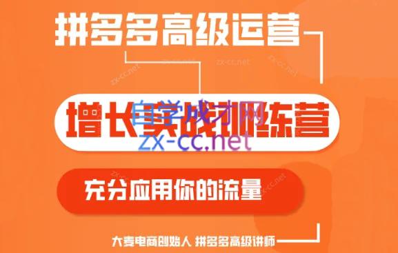 大麦老师·拼多多单品爆款打造课程(更新6月)-鼎铸网