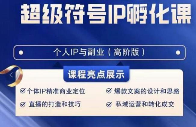 超级符号IP孵化高阶课，建立流量思维底层逻辑，打造属于自己IP（51节课）-鼎铸网