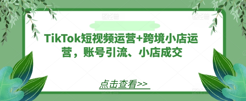 8ce6741b5ff58e7e5f25b604cd390396.jpeg TikTok短视频运营+跨境小店运营,账号引流、小店成交