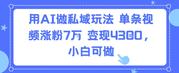 用AI做私域玩法，单条视频涨粉7W变现4.3k，小白可做-鼎铸网