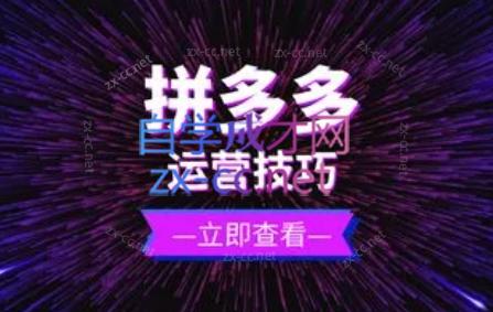 8d2146c14275569f16e6a910dcc5a090.jpeg 力辛电商·拼多多强付费店群玩法