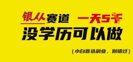 靠银从证书，日入多张，会截图就能做，直接抄答案(附：银从合集)-鼎铸网