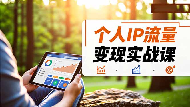 个人IP流量变现实战课,涵盖多平台引流、打造个人IP并实现稳定流量变现-鼎铸网