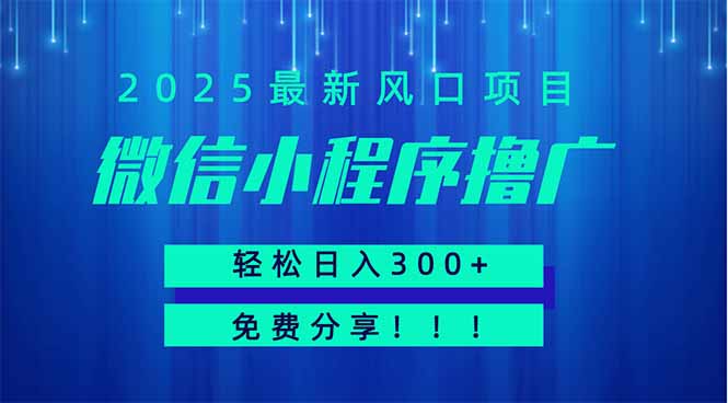 微信小程序撸广，最新风口项目，日入300+ 免费分享 可批量操作 小白可…-鼎铸网