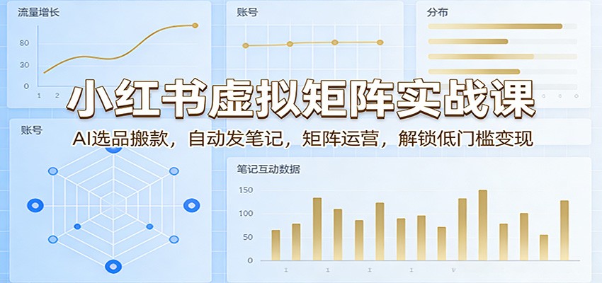 小红书虚拟矩阵实战课:AI选品搬款,自动发笔记,矩阵运营,解锁低门槛变现-鼎铸网