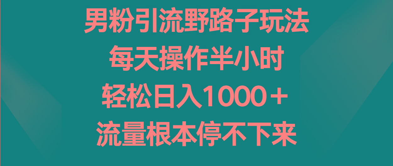 男粉引流野路子玩法,每天操作半小时轻松日入1000+,流量根本停不下来-鼎铸网