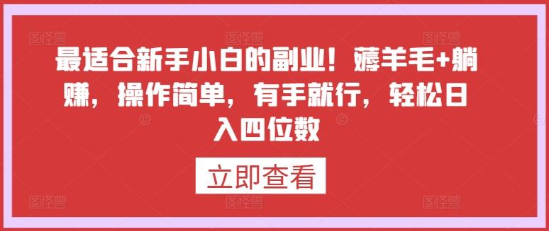 最适合新手小白的副业！薅羊毛+躺赚，操作简单，有手就行，轻松日入四位数【揭秘】-鼎铸网