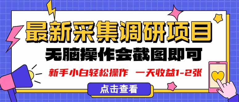 新版采集调研项目，截图上传即可，无脑操作，日收益1-2张-鼎铸网