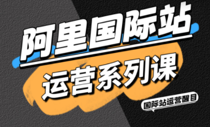 醒目老师·阿里国际站运营系列课(更新11月)-鼎铸网