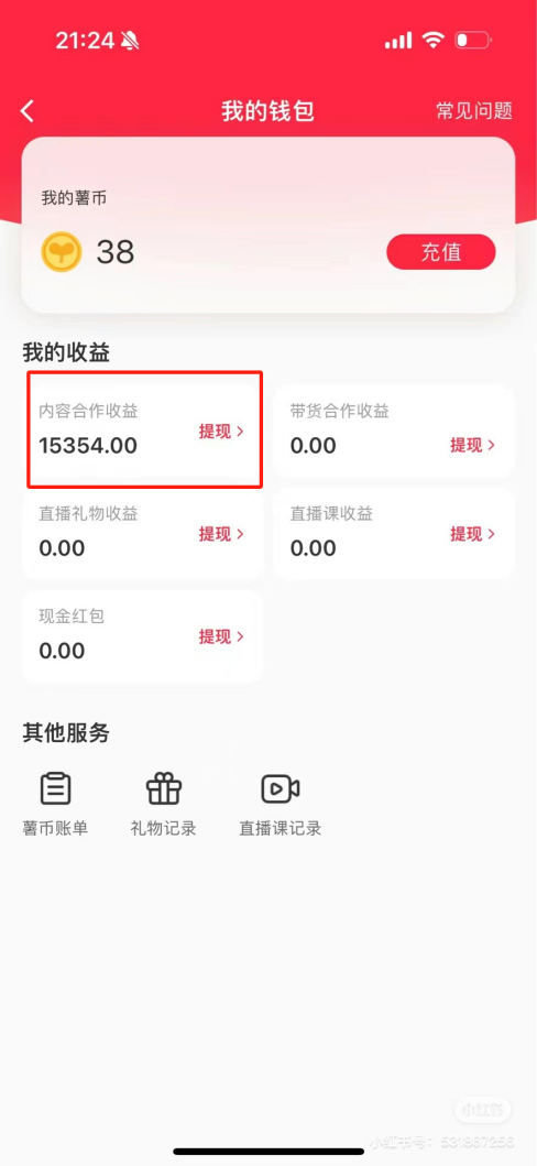 热门评论引爆小红书流量，作品制作简单，广告接到手软，月入过万不是梦-鼎铸网