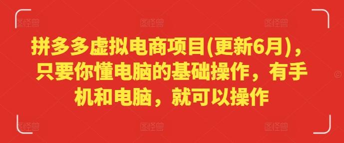 拼多多虚拟电商项目(更新6月)，只要你懂电脑的基础操作，有手机和电脑，就可以操作-鼎铸网