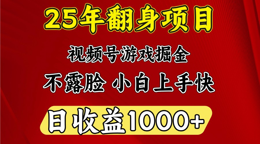 一天收益1000+ 25年开年落地好项目-鼎铸网
