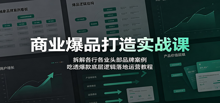 商业爆品打造实战课：拆解各行各业头部品牌案例，吃透爆款底层逻辑落地运营教程-鼎铸网