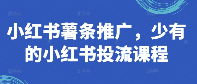 小红书薯条推广，少有的小红书投流课程-鼎铸网