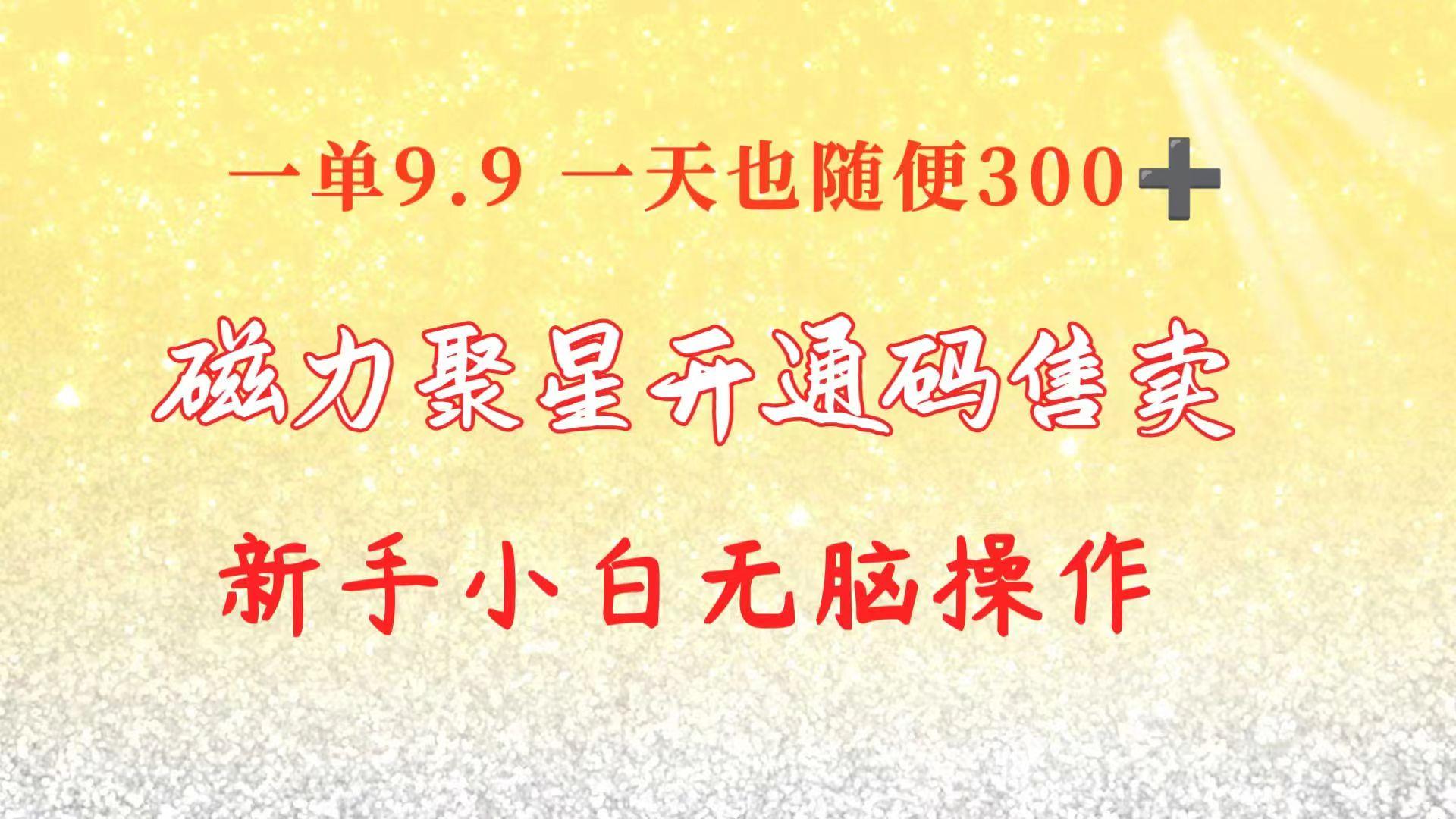 快手磁力聚星码信息差 售卖  一单卖9.9  一天也轻松300+ 新手小白无脑操作-鼎铸网