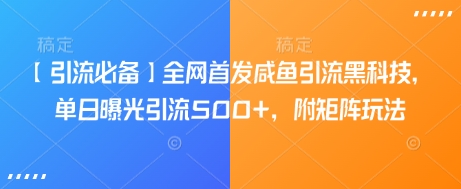 【引流必备】全网首发咸鱼引流黑科技，单日曝光引流500+，附矩阵玩法【揭秘】-鼎铸网