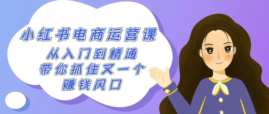 2024小红书电商运营课，从入门到精通，带你抓住又一个赚钱风口(50节课)-鼎铸网