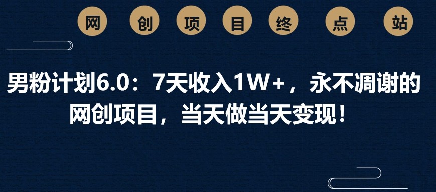 男粉计划6.0：7天收入1W+，永不凋谢的网创项目，当天做当天变现！-鼎铸网