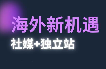 棕榈·2025出海新机遇(社媒+独立站)-鼎铸网