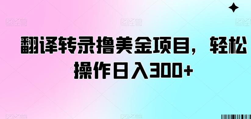 翻译转录撸美金项目,轻松操作日入300+【揭秘】-鼎铸网
