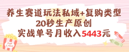 养生赛道玩法私域+复购类型,20秒生产原创实战单号月收入5k+-鼎铸网