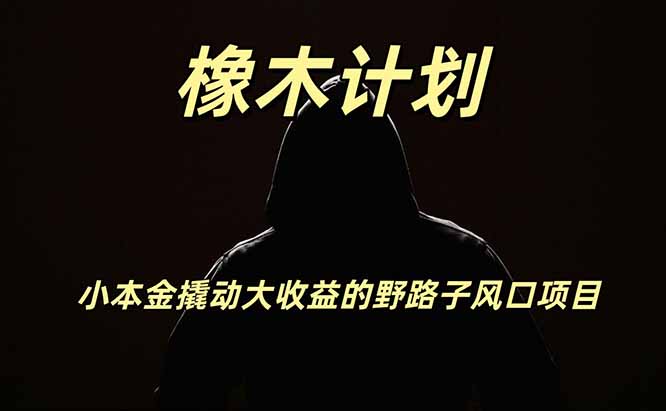 a17393396fa39d7345c941e4ae0739b8.jpeg 橡木计划,小投入撬动高回报的风口野路子项目,一天投入2小时左右