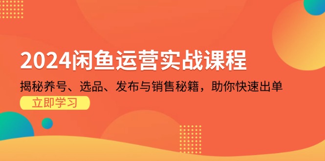2024闲鱼运营实战课程：揭秘养号、选品、发布与销售秘籍，助你快速出单-鼎铸网